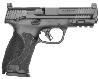 Smith & Wesson M&P M2.0 9mm Semi-Auto Pistol 4.25 in Black Armornite, 10+1