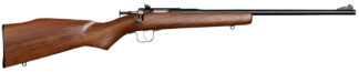 Chipmunk 00001 Youth .22 LR Bolt Action Single-Shot 1rd 16.13 in Blued Steel & Walnut