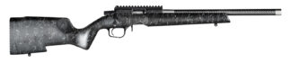 Christensen Arms 8011200200 Ranger 22 LR 10+1 18" Carbon Fiber/Threaded Barrel, Black Anodized Finish, Black with Gray Webbing Stock