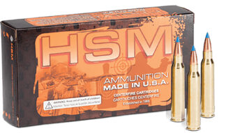 HSM 204R3N 204 Ruger 32 gr BlitzKing 20 Rounds