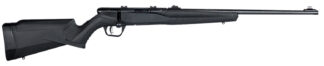Savage B22F Bolt-Action .22 LR Rifle, 10+1 Rounds, 21 in, Matte Black Synthetic Stock