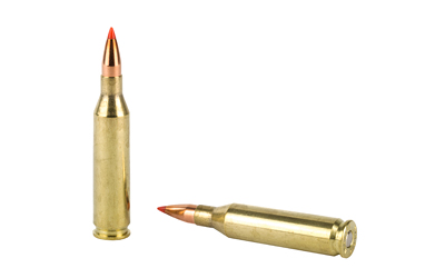 Hornady Superformance Varmint .243 Winchester 75 gr V-MAX, 20-Round Box