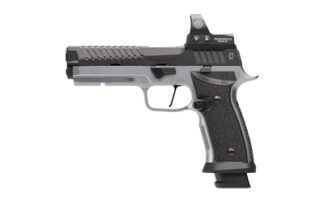 SIG Sauer P320 MAX SXG 9mm 5 in Semi-Auto Pistol with 21-Round Magazines and ROMEO3MAX