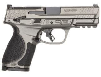 M&P 9 M2.0 Metal Cmpct 9mm 4" TS Gry 2/10rd CA