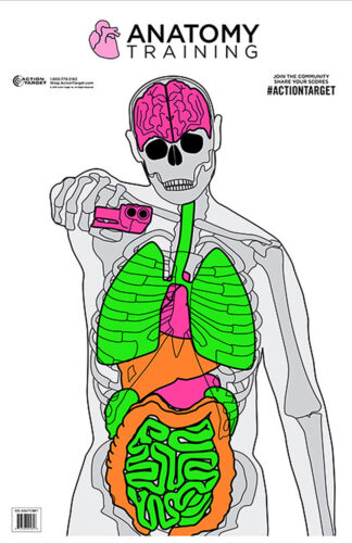 Action Target Anatomy Training Target 23" x 35" Hanging Paper Target