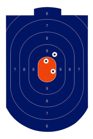 Birchwood Casey Dirty Bird Silhouette Target 12 x 18 Tagboard, 100 Per Pkg