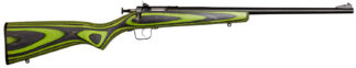 Davey Crickett KSA2231 Youth .22 LR Single Shot Rifle, 16.25 in Barrel, Green/Black Laminate Stock