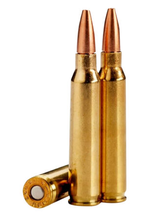Lehigh Defense Controlled Chaos .223 Rem/5.56 NATO 55 gr (20 Rounds)