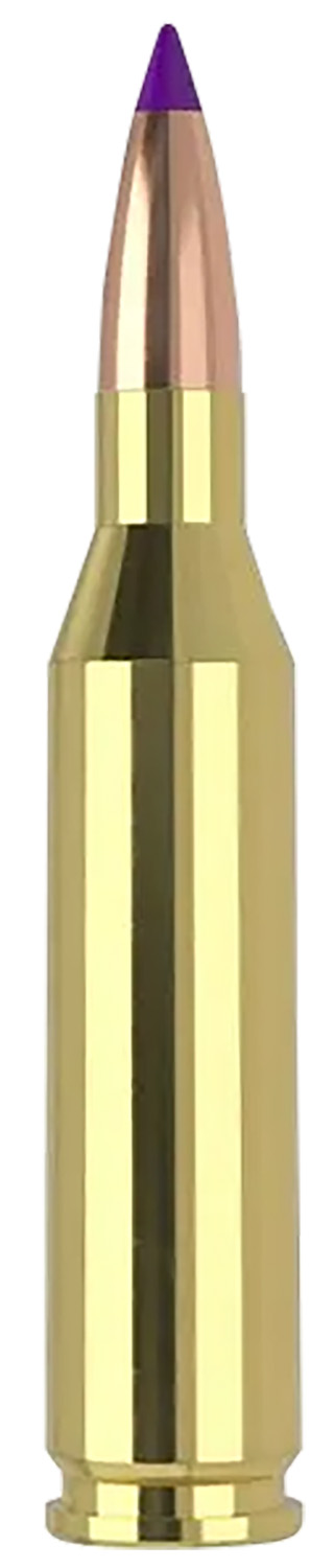 Nosler Ballistic Tip Varmint .243 Winchester 70 gr (20 Rounds)