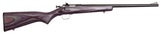 Davey Crickett KSA2227 Youth .22 LR Single-Shot Rifle, Blued Barrel/Receiver, Purple Laminate Stock