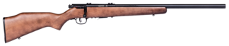 Savage 93R17GV Bolt Action 17 HMR 21 in Matte Blued Barrel