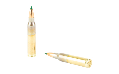 Global Ordnance Match .223 REM/5.56 NATO 55gr BlitzKing Boat Tail, 20 Rounds