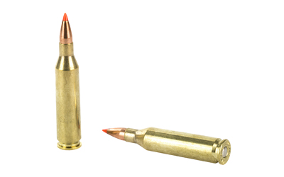 Hornady Superformance Varmint .243 Winchester 58gr V-Max Centerfire Ammo, 20 Rounds/Box