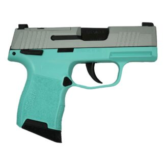 SIG Sauer P365 9mm Luger Micro-Compact Striker-Fired Handgun 3.1 in X-RAY3 Sights