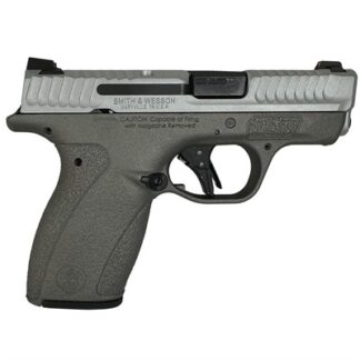 BODYGUARD 2.0 380ACP (1)10&(1)12 MAGS NTS SATIN GUN METAL