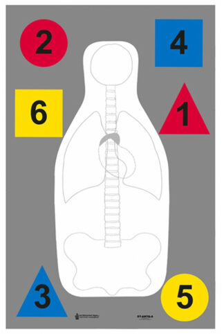 Action Target Anatomy and Command Training Multi-Purpose Target 23 x 35 in Hanging