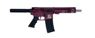 10 Ring Marketing / WRJ GL15 AR-15 Pistol .223 Wylde 7.5 in Stainless Barrel 30 Rounds Black Cherry