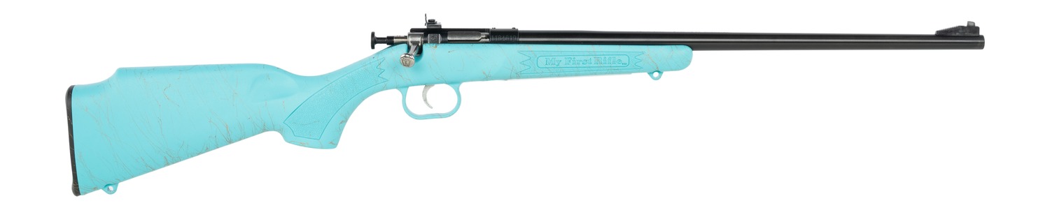 Davey Crickett Crickett My First Rifle Gen 2 .22 LR 16.1 in Blued Barrel Blue Synthetic Stock