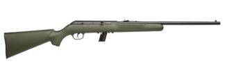 Savage 64F Semi-Auto .22 LR 21 in Barrel 10+1 Green Synthetic Rifle