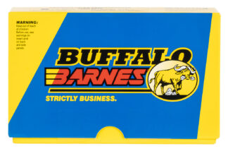 Buffalo Bore Ammunition 20F20 .38 Special +P 110 gr Barnes TAC-XP Lead-Free, 20 Rounds