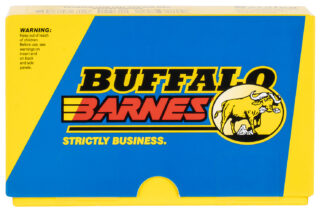 Buffalo Bore 55B20 .300 Winchester Magnum 180 gr Barnes TTSX Tipped TSX Lead-Free Ammo
