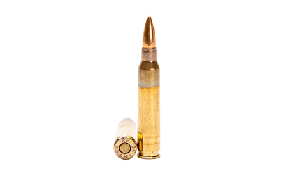 Global Ordnance M193 55Gr FMJ 5.56 NATO, 20 Rounds