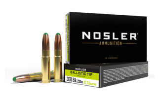 Nosler 300 AAC Blackout 220gr Ballistic Tip Boat-Tail (BTRN) 20 Rounds