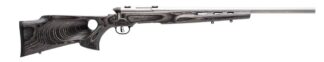 Savage B.Mag Bolt-Action Rifle .17 WSM 22" Heavy Barrel, Matte Stainless