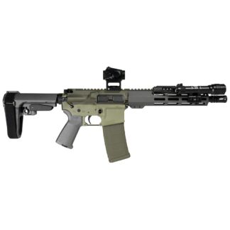 Shark Coast Tactical Bugbear AR Pistol 5.56mm, 10.5 in Barrel, 1/2-28 Threaded Muzzle