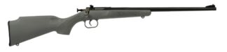 Davey Crickett Crickett .22 LR Single Shot Rifle, 16.125 in Barrel, Open Sights, BL/GRY
