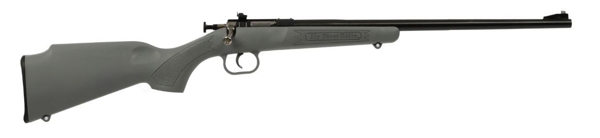 Davey Crickett Crickett .22 LR Single Shot Rifle, 16.125 in Barrel, Open Sights, BL/GRY