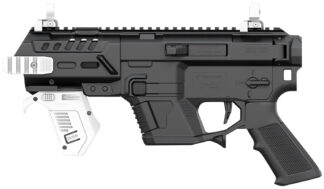 Recover Innovations P-IX AR Platform Conversion System for Glock, Black