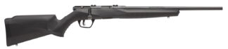 Savage B17 F Compact Bolt-Action .17 HMR Rifle, 18 in Barrel, 10+1 Rounds