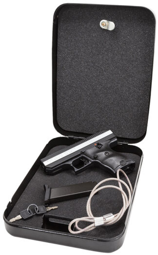 Hi Point CF380HSP Semi-Auto .380 ACP 3.5 in 8+1 Home Security Package Black