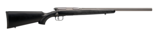 Savage B.Mag Bolt-Action .17 WSM 22 in Matte Stainless Heavy Barrel Rifle