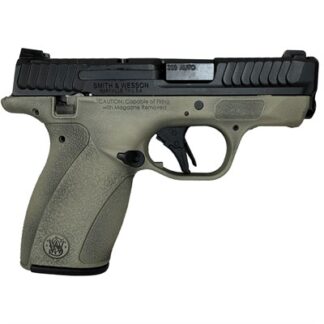 BODYGUARD 2.0 380 ACP W/SAFETY - DESERT VERDE W/BATTLEWEAR
