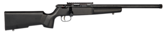 Savage Rascal Target .22 LR Bolt Action 16.125 in Matte Blued Barrel