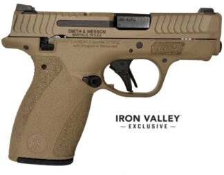 Smith & Wesson Bodyguard 2.0 .380 Auto 2.75 in Thumb Safety FDE (10/12rd)
