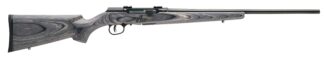 Savage A17 Sporter .17 WSM 22 in Semi-Auto Rifle, 8+1 Rounds, Satin Black
