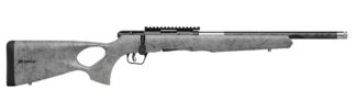 Savage B17 Bolt Action Rifle .17 HMR 18 in Threaded Barrel, 10+1 Rounds, Gray/Black Thumbhole