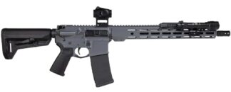 SHARK COAST TACTICAL AR15 GREY NIGHT BUNDLE-CA COMPLIANT 556 16IN BARREL 10RD    SCTARGCC