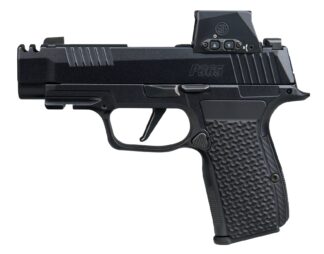 SIG Sauer P365 AXG Luxe .380 ACP, 3.1 in Barrel, Striker-Fired, Night Sights, Pearlescent Black