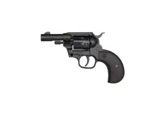 DIAMONDBACK FIREARMS SIDEKICK 22LR/22M BK BIRDSHEAD