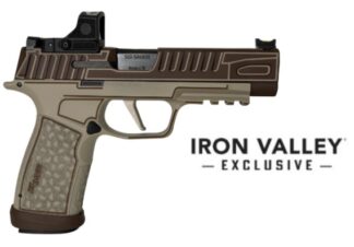 Shark Coast Tactical P365 FUSE 9mm 4.3 in Romeo-RS Compact 3MOA