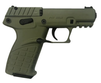 KelTec P17 .22 LR Semi-Auto 3.8 in Threaded Barrel 16rd Magazines Black Fiber Optic Sights