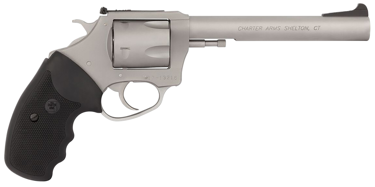 Charter Arms Pitbull Double/Single Action Revolver 9mm Luger 6 in Matte Stainless 5 Rounds