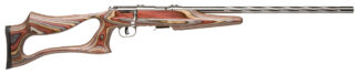Savage 93 BSEV .22 WMR Bolt-Action Rifle, 21 in Barrel, 5+1, Matte Stainless, Thumbhole Laminate