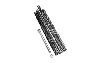 True Precision Recoil Spring Tuning Kit for Sig Sauer P365-FUSE 4.3 in Black