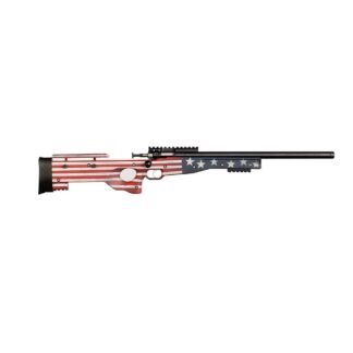 Davey Crickett Crickett Precision Old Glory Single Shot .22 LR Rifle, 16.125 in Barrel