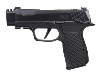 Sig Sauer P365 AXG Luxe .380 ACP 3.1 in Comp Slide Black Pearlescent
